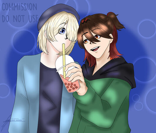 Gaming and Freminet Commission